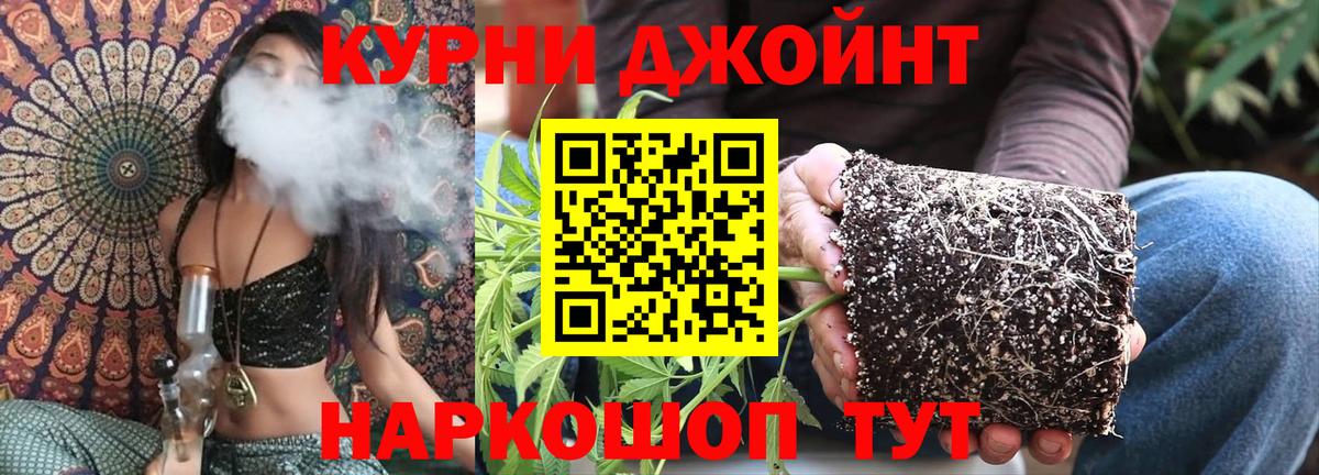 МАРИХУАНА SATIVA & INDICA Фролово